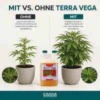 Canna Terra Vega 1 Liter – Mineralischer Wachstumsdünger