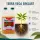 Canna Terra Vega 1 Liter – Mineralischer Wachstumsdünger