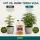 Canna Terra Vega 1 Liter – Mineralischer Wachstumsdünger