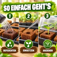 Eazy Plug Seedling Cubes 12 Pack