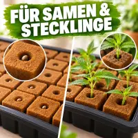 Eazy Plug Seedling Cubes 24 Pack