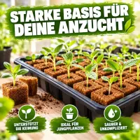 Eazy Plug Seedling Cubes 24 Pack