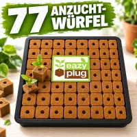 Eazy Plug Anzuchtwürfel 77 Stk.