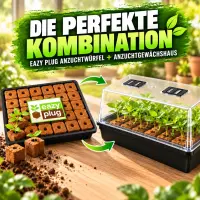 Eazy Plug Anzuchtwürfel 77 Stk.