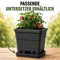 Square Planter Pot 2 Liters 13x13x13 cm – Corner Plant Pot