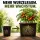 Square Flower Pot 1 Liter 10x10x11 cm – Small Corner Planter