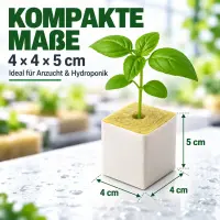 Steinwolle Anzuchtwürfel 4x4x5 cm –...