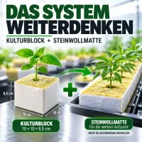 Steinwolle Anzuchtwürfel 4x4x5 cm – Würfel Klein