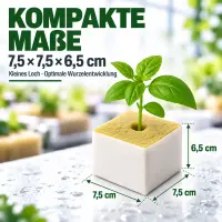 Steinwolle Anzuchtwürfel 7,5x7,5x6,5 cm –...