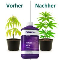 Plagron Lemon Kick pH Minus 1 Liter – pH Reducer...