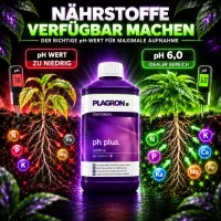 Plagron pH+ Plus 500 ml – pH Booster Plagron