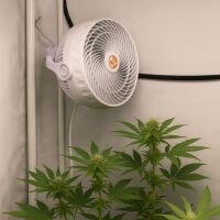 Monkey Clip Ventilator 18 cm 30 Watt –...