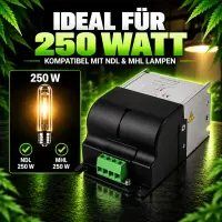 250 Watt Magnetic Ballast for HPS & MH