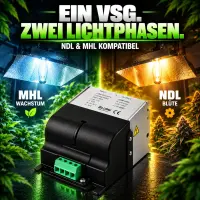 250 Watt Magnetic Ballast for HPS & MH