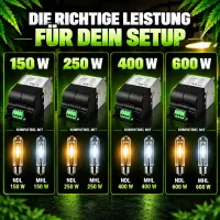 250 Watt Magnetic Ballast for HPS & MH