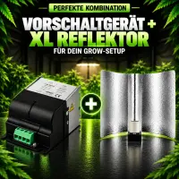 250 Watt Magnetic Ballast for HPS & MH