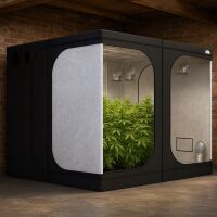 PR Growbox 300x300x200 cm – XXL Growbox
