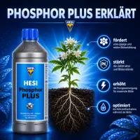 Hesi Phosphor Plus 500 ml – Bloom Additive Phosphorus