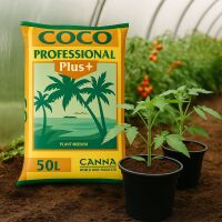 Canna COCO 50 Liters – Premium Coconut Substrate
