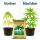 Canna COCO 50 Liters – Premium Coconut Substrate