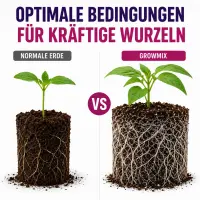 Plagron Growmix 50 Liters – Universal Soil for...