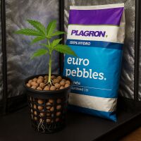 Plagron Euro Pebbles 10 Liters – Hydroponic Growing...