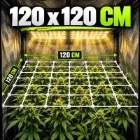 Plant Net Web-IT 120 x 120 cm – Large Plant Climbing Net