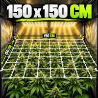 Pflanzennetz Web-IT 150 x 150 cm – Pflanzen Ranknetz groß