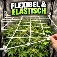 Pflanzennetz Web-IT 90 x 90 cm – Pflanzen Ranknetz