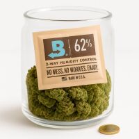 Boveda Pack 67 g 62% – Humidity Regulator Large