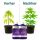 Plagron pH Set – Plagron pH Regulation Kit
