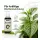 BioBizz Grow 250 ml – Organic Growth Fertilizer