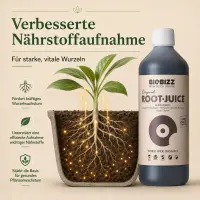 BioBizz Root Juice 500 ml – Wurzelstimulator Organisch