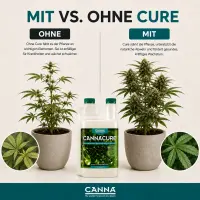 Canna Cure 750 ml – Blattpflegespray für Pflanzen