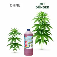 Advanced Hydroponics Bloom Nutrient 500 ml – Hydroponic Flowering Fertilizer