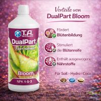 T.A. DualPart Bloom 5 Liters – Two-Component Bloom...