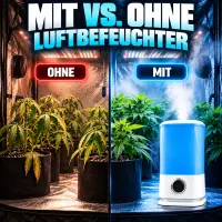 Megamist Luftbefeuchter 8 Liter – Großer Luftbefeuchter