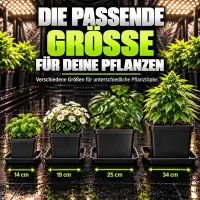 Square Coaster 25 x 25 x 3 cm – Quadratic Plant Pot Protector