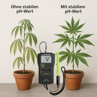 Milwaukee pH Meter MW100 – Professional Digital pH...