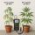 Milwaukee pH Meter MW100 – Professional Digital pH Tester