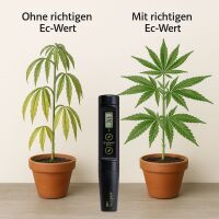 Milwaukee pH-Messgerät pH51 – pH-Meter Kompakt