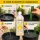 Biobizz pH-MINUS 250 ml – Organic pH Down Solution