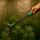 Grow Watering Stick Medium – Garden Irrigation Stake
