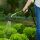 Grow Watering Stick Medium – Garden Irrigation Stake