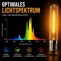 Pure Light 600 Watt HPS/NDL RED Bloom Phase – Sodium Vapor Lamp for Flowering