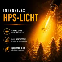 Pure Light 600 Watt HPS/NDL RED Bloom Phase – Sodium Vapor Lamp for Flowering
