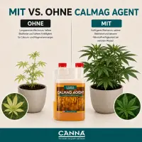 Canna CalMag Agent 5 Liters – Calcium Magnesium Supplement