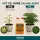 Canna CalMag Agent 5 Liters – Calcium Magnesium Supplement