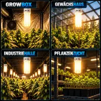 Pure Light 250 Watt Energy Saving Lamp BLUE Growth Phase...