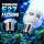 Pure Light 250 Watt Energy Saving Lamp BLUE Growth Phase – ESL Grow Light for Plant Growth